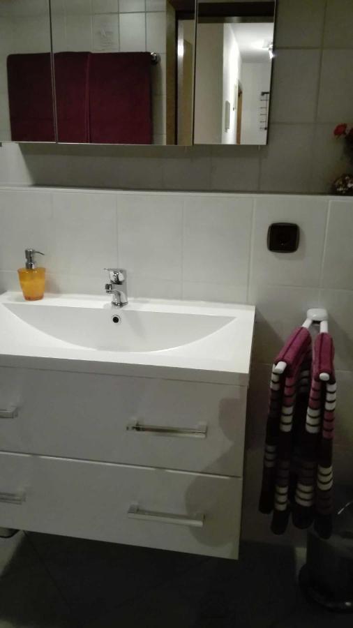 Haus Am Bach Διαμέρισμα Φράιμπουργκ Εξωτερικό φωτογραφία