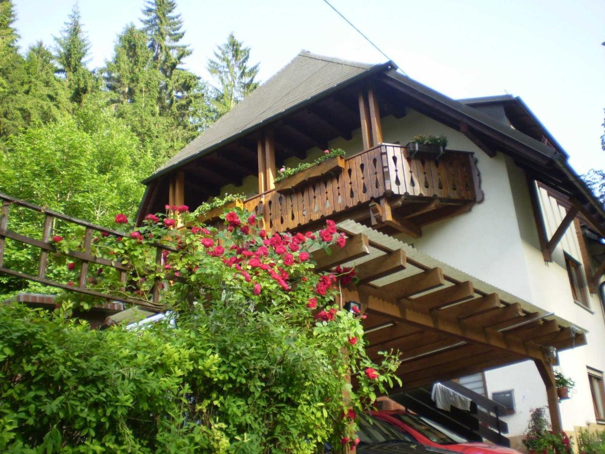 Haus Am Bach Διαμέρισμα Φράιμπουργκ Εξωτερικό φωτογραφία